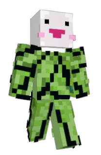 ok_kona's Minecraft skin