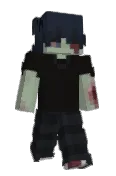 naswaii