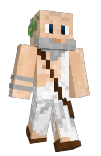 1Davidd's Minecraft skin