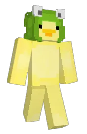 Skin preview