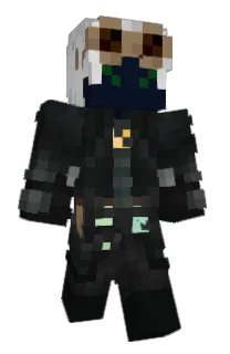 grannypops66's Minecraft skin