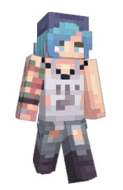 Skin preview