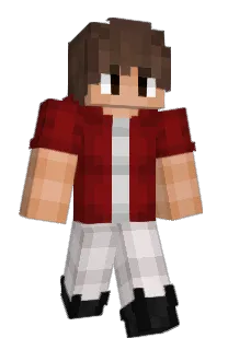 Front of labeldbatman's skin