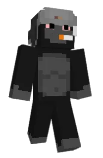 Front of woaseyo's skin