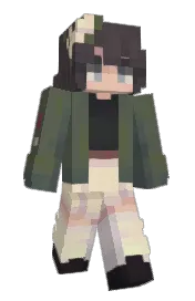 Skin preview