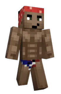 Front of thoshort's skin