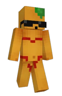Front of mimxirica's skin