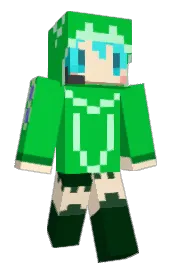 Skin preview