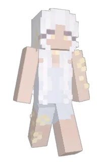 Niraexy's Minecraft skin