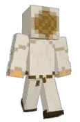 Virison2