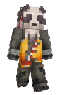 Front of suawa's skin