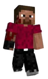 Back of FlowTierr's skin