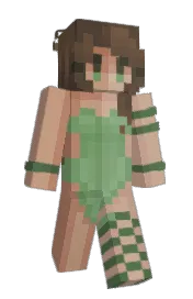 Skin preview
