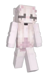 Front of faihry's skin