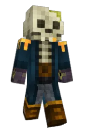 Skin preview