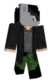 Skin preview