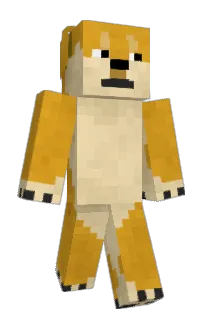 jocastro11's Minecraft skin
