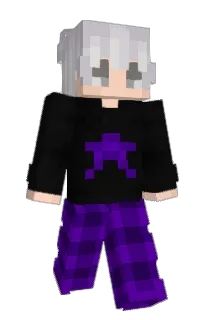 Front of pracastop's skin