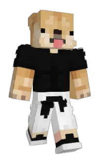 Front of Minecraft skin