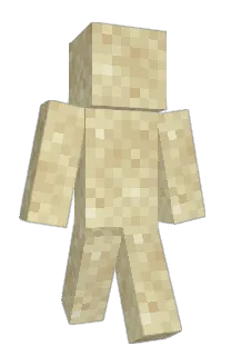 Front of Minecraft skin