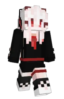 Front of WhyGoose's skin