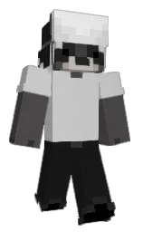 pan_pajok's Minecraft skin wearing the Follower's cape