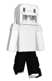 Front of svwy's skin