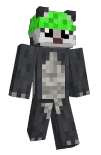 Front of 141pepe's skin