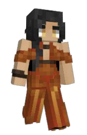 Skin preview