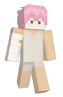 Front of DumBabyJuice's skin