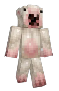 Front of dongkomong's skin