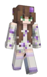 Minecraft skin — Classic model