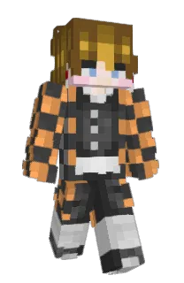 Front of Katangi's skin