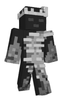 Front of mhiip's skin