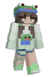 Skin preview