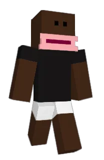 Front of roadsurfer's skin