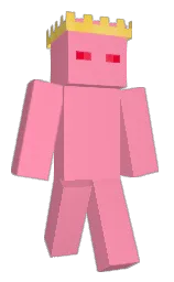 niccipicci's Minecraft skin wearing the Migrator cape