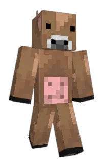 Front of cros300's skin