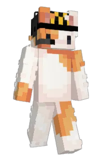 Front of qxlar's skin