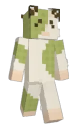 Slim Minecraft skin