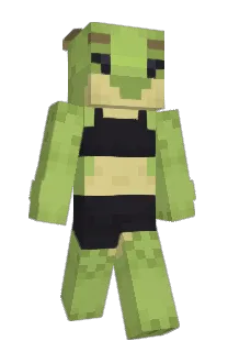 Front of shadowNOVA2001's skin