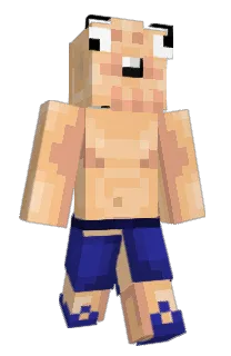 Front of Solarqr's skin
