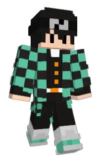 Front of shichena's skin