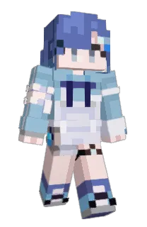 Front of hosimoti's skin