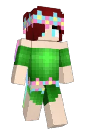 Skin preview