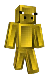 Front of BirdUpCuh's skin