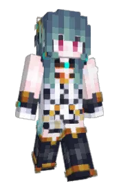Skin preview