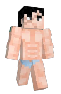 AriTurtle's Minecraft skin