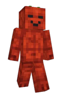 Front of adderlemon's skin