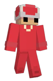 Front of VogelTSR's skin